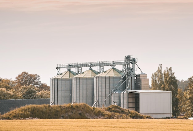 Cum să alegi structura potrivită pentru un siloz agricol